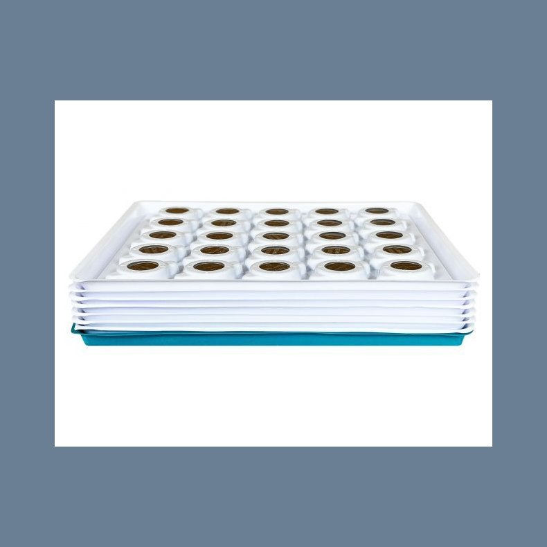 Knapcelle batterier 2032 25stk